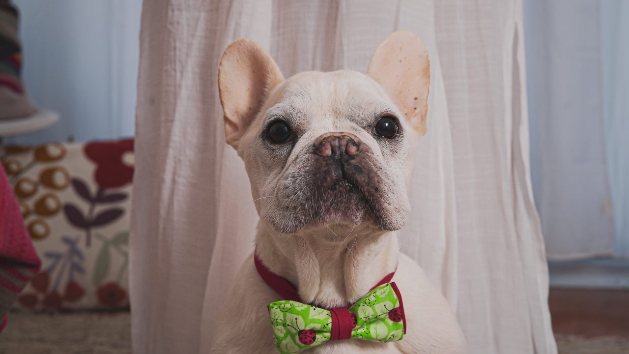 Milo, fundador de Bigmama hotel