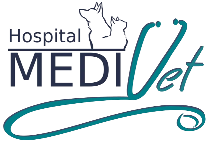 Hospital medivet
