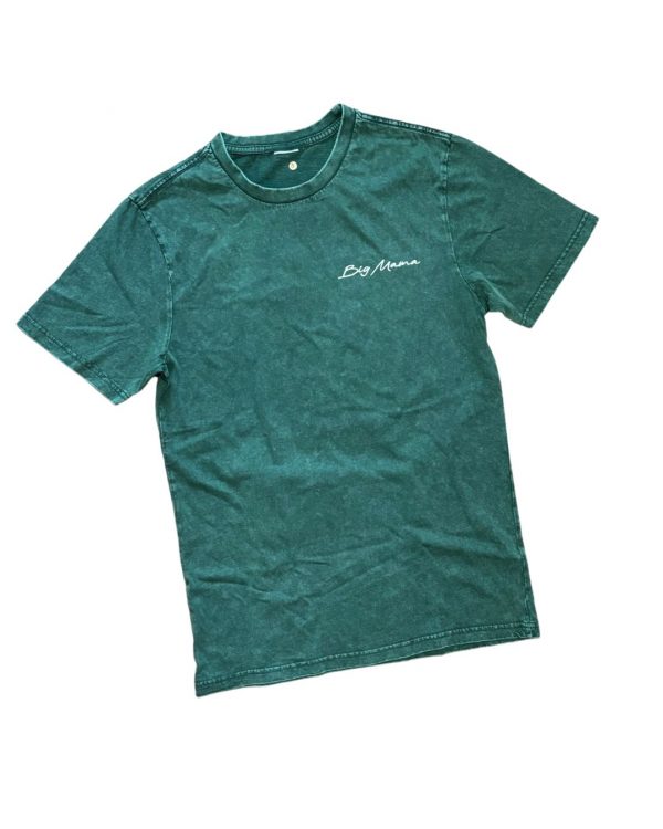 Polera "IN MY FITNESS CAT DAD ERA" - Imagen 2