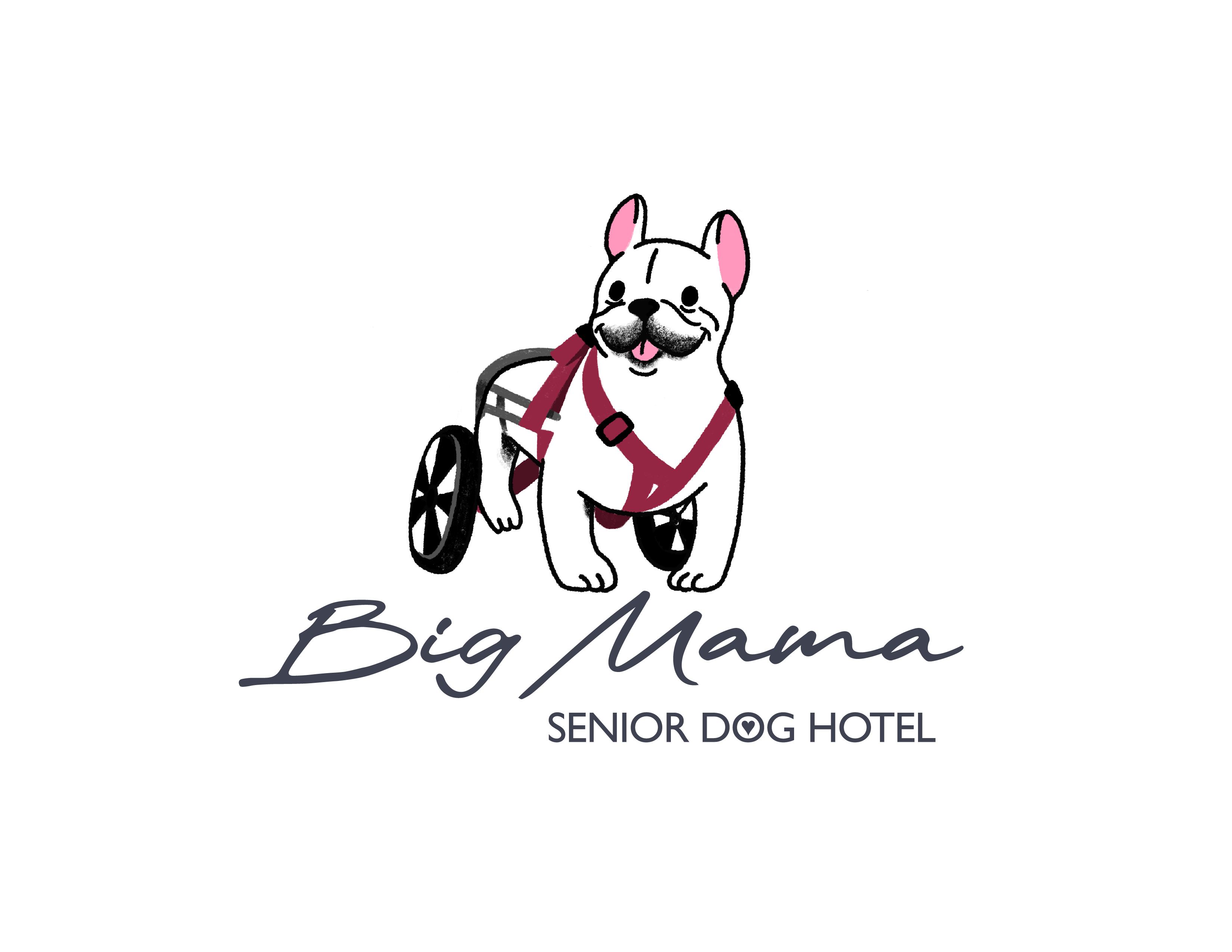 Logo de BigMama Senior Dog Hotel