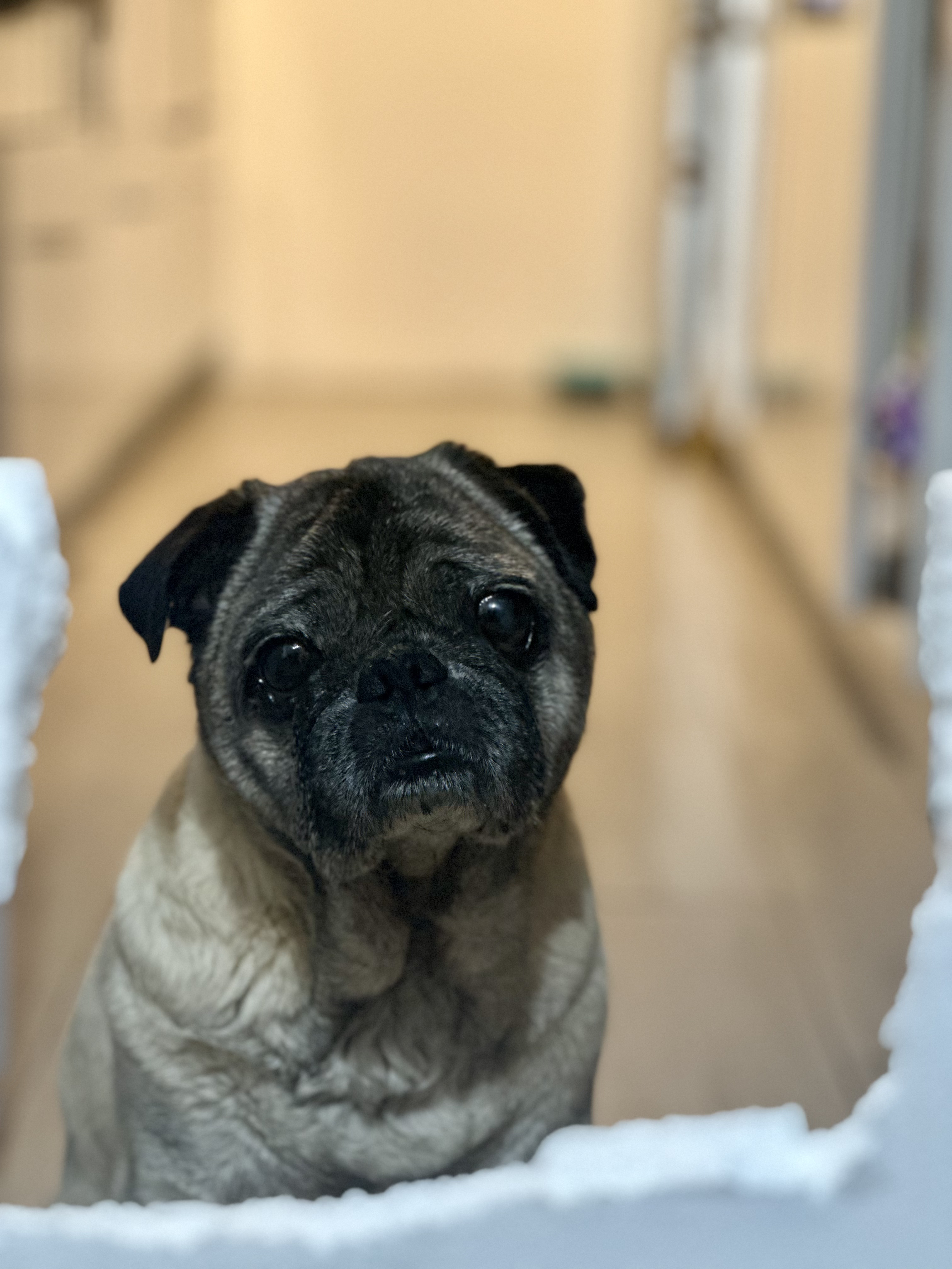 Hospedaje por noche o día